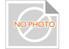 Turntable Ball Slewing Ring Swing Gear For Excavator VLU 201094